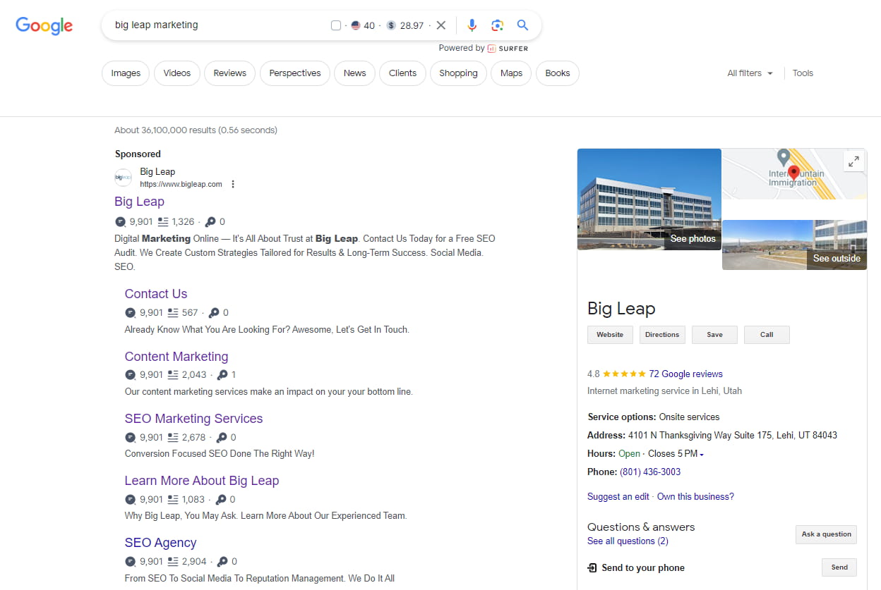 Big leap marketing SERP