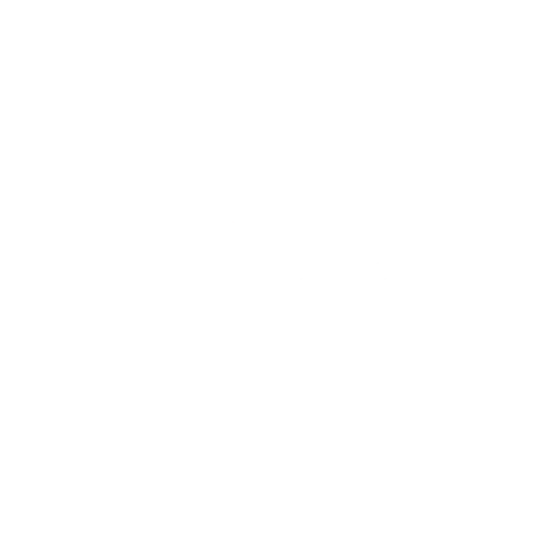 Oy Boy logo in white